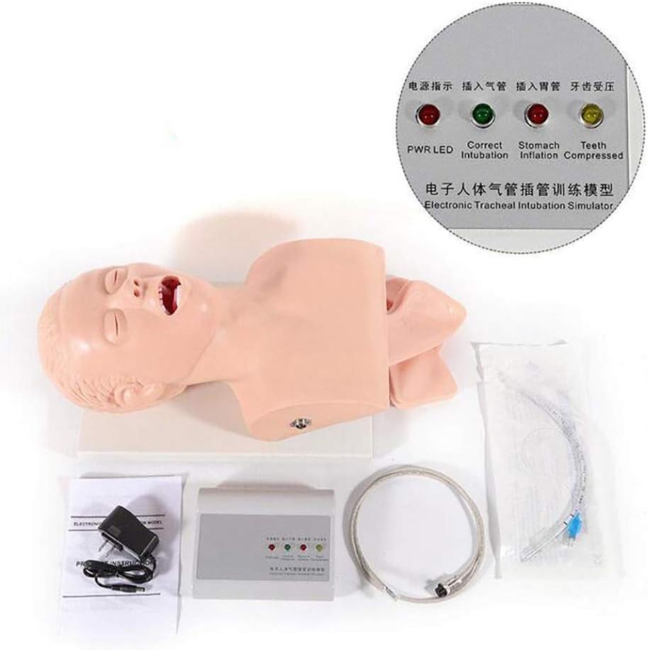 GXJ Adult Intubation Manikin, Oral Nasal Intubation Manikin Training Study Teaching Model for School Teaching Stationery Set Nurse Lab Traine110-220V