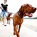 EzyDog Standard 24-Inch Rope Dog Leash Extension - Reflective Trim for Nighttime Safety - Add 2 for Walking 2 Dogs Tangle Free with Our Cujo Leashes (24”, Red)