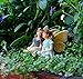 PRETMANNS Fairy Garden Fairies – Fairy Figurines – 2 Cute Sitting Fairies – BEST FRIENDS FAIRIES 1 Piece - Fairy Garden Supplies