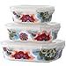 French Bull 3 Piece Porcelain Food Storage Container Set - Lunch, Airtight - Gala
