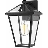 Z-Lite 1 Light Outdoor Wall Sconce 579M-BK, Clear Beveled