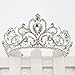 Gold Silver Crystal Heart Rhinestone Headband Crown for Cake Topper Party Wedding Princess Headpiece Tiara (Silver)