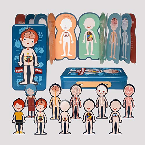 KIPPTO Puzzle Human Body System DressUp Playset, for 48