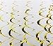SUNBEAUTY Gold Color Foil Hanging Swirl Decorations Swirl Party Decorations Party Accessory Shower Birthday (14pc)