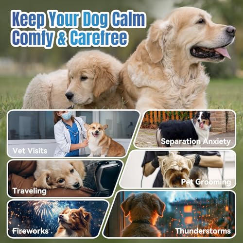 ColEaze Calming Chews for Dogs Puppy Dog Calming Chews, Help Manage Stress and Promote Relaxation Sleep Aid Calm Dog from Noise, Thunder, Barking, Separation, Small Medium Large & All Breeds