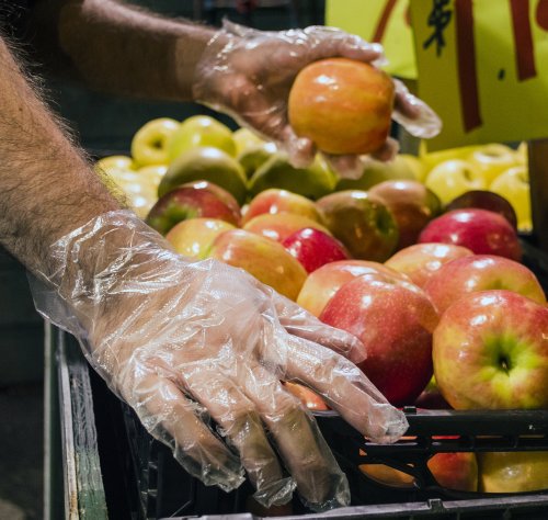 AMMEX - PGLOVE-L-500-MC - Poly Gloves - Disposable, Food Service, 1 mil, Large, Clear (Mastercase of 10000)