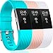 Replacement Bands for Fitbit Charge 2, Fitbit Charge2 Wristbands,Small and Large, 10 colors