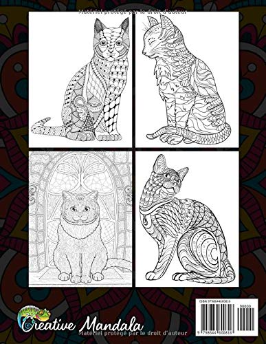 Chats Livre De Coloriage Avec Mandalas Livre De Coloriage Pour Adulte Avec 50 Beau Mandala Chats Coloriages Anti Stress Amazon Fr Mandala Creative Livres