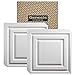 GENESIS - Icon Relief White Ceiling Tile (Carton of 12) - Drop/Grid Ceiling - Fast and Easy Installation (2' x 2' Tile)