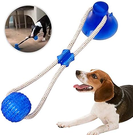 juguete ventosa para perros