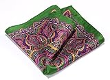 HISDERN Men's Paisley Pocket Square Handkerchief