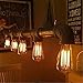 DSYJ for Edison Light Bulbs, Vintage 60 Watt Incandescent Light Bulbs E26 Base Dimmable Decorative Antique Filament Light Bulbs 252 Lumens, Ray Amber Warm 1 Pcs