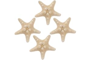 DECHOUS 4pcs Natural Finger Sea Stars for DIY Beach Decor Craft Party Supplies Real Ocean Flat Sea Star