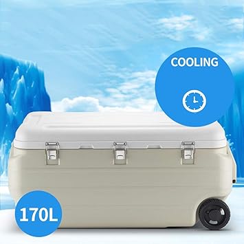ZLL Nevera refrigeradora para autos Caja con ruedas de 170 litros ...