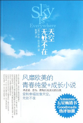 The Sky is Everywhere (Chinese Edition)