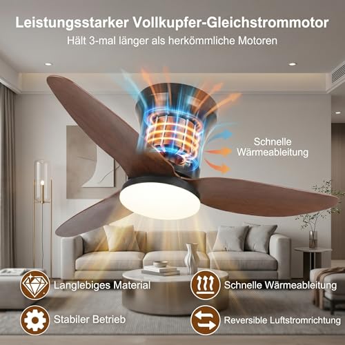 Ceiling Fan with Lighting, Ø100cm App Control & Remote Control, Ceiling Light with Fan, 6 Speed, 3 Variable Colors, Silent DC Motor, Summer-Winter Operation, Timer
