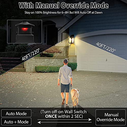 Motion Sensor Outdoor Light, Dusk to Dawn Outdoor Porch Light Fixture