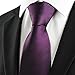 Coxeer New Striped Plum Purple Men's Tie Formal Suit Necktie Wedding Holiday Gift
