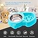 UPSKY Dog Bowl Slow Feeder Bloat Stop Pet Bowl No Chocking Slow Feeder Bloat with No-Spill Non-Skid Mat Stainless Steel Water Bowl for Dogs Cats and Pets(Blue)