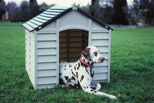 green plastic dog kennel