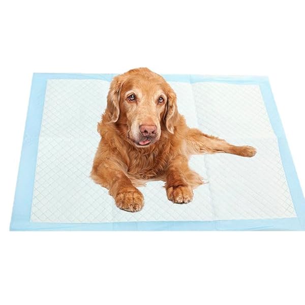 SELECSTORE DISPOSABLE DOG TRAINING PADS, 40 COUNT.23X23 LARGE, SUPER ABSORBENT & NO RUNOVER, STICKY TABS BLUE