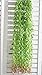6 Bunches Green Artificial Silk Hanging Vine Plant Willow Leaves for Home Garden Outdoor Wall Decoration