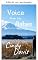 Livro Voz das cinzas