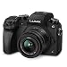 Panasonic LUMIX G7 4K Digital Mirrorless Camera 2 Lens Kit LUMIX G Vario 14-42mm F3.5-5.6 II ASPH + 45-150mm F4.0-5.6 DMC-G7WK Pro Bundle with Deco Gear Bag Monopod Filter Kit Software & Accessoriesthumb 2