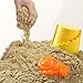 MOTION SAND Play Sand , 2.2LBS of Natural Sand and Motion Circus Playset with 16 Pcs Molds Kit, Non-Toxic Sand for Kids