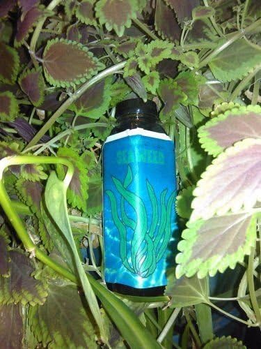 Liquid Seaweed ORGANIC fertilizer! 16oz. plant nutrient for soil or hydro