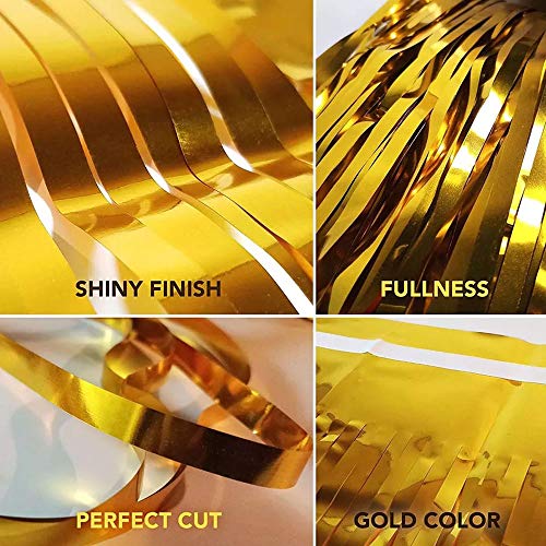 image for wenyuan Sparkle at Your Party with Gold Fringe Backdrop & Props - Bach