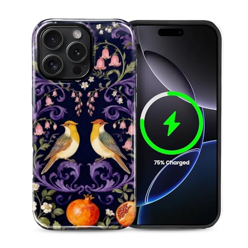 Zeggi Case for iPhone 16 Pro(Compatible with MagSafe),Soft TPU+Hard Acrylic 2-in-1 Glossy Phone Cover for Men/Women,Shockproof Protective Case Compatible with iPhone 16 Pro Symmetry Bird at Amazon
