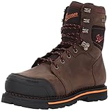 Danner Men's Trakwelt NMT Work Boot