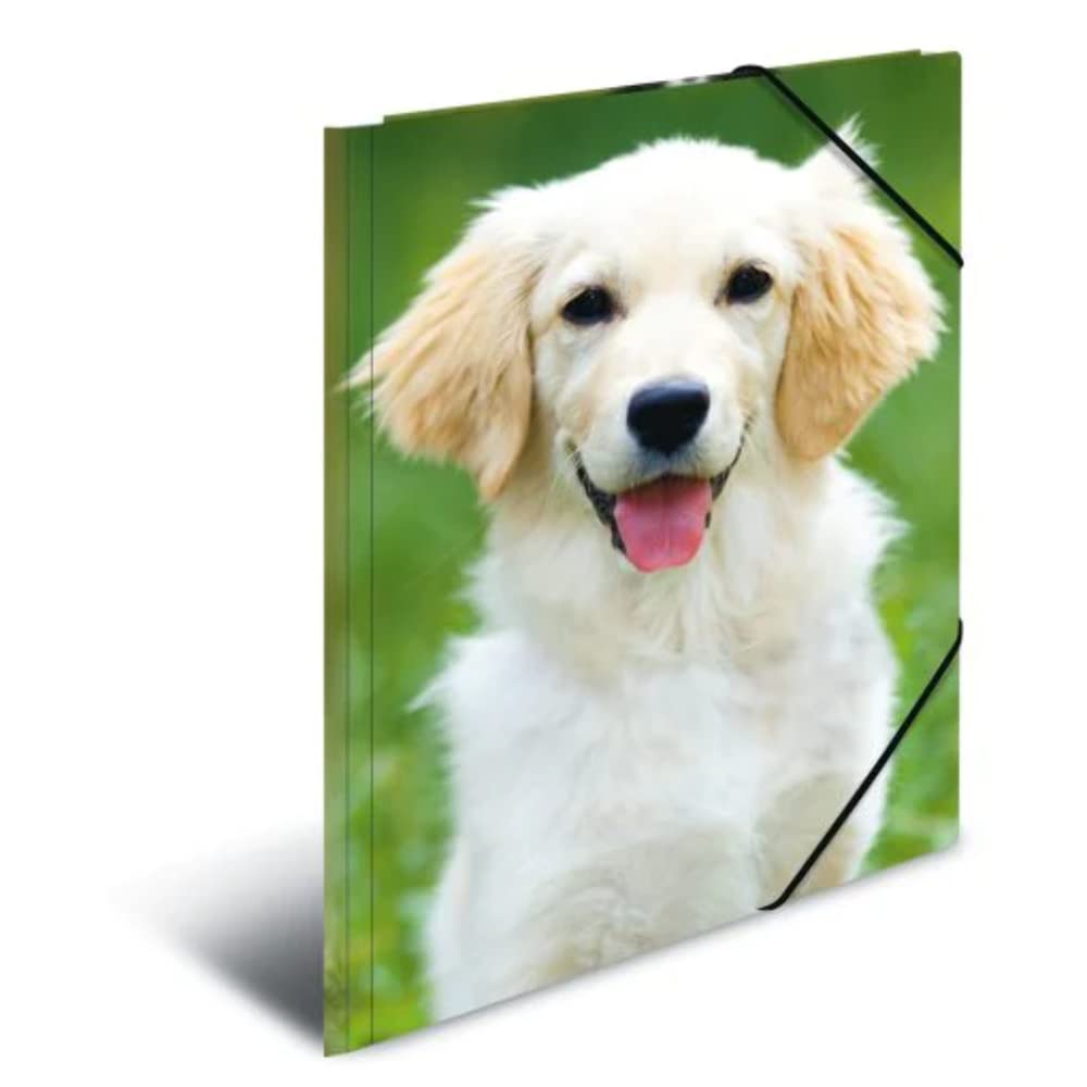 HERMA Elastic Folder Animals with Dogs Motif, A3, Sturdy Plastic, with Inner Print, 1 Span Folder