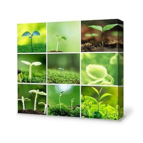 Canvas Wall Art Newborn Plant Hopeful Canvas Painting Wall Poster Decor for Living Room Wooden Framed Home Decorations - 12x12 inches