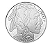 1 oz Silver Round - Buffalo