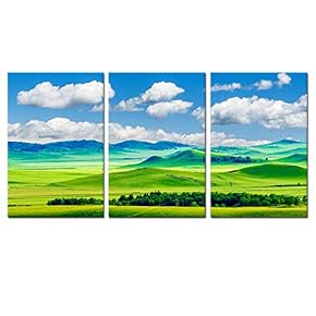 3 Panel Canvas Wall Art Green Glass Blue Sky Canvas Prints Painting Wall Decor for Living Room Wooden Framed Home Decorations - 16"x24" x 3 Panels