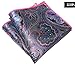 WeiShang Mens Printing patterns Pocket Square Handkerchief Wedding Party(pack of 9) (A06)