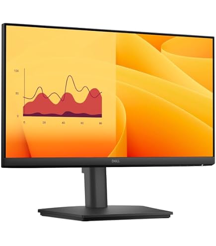 Amazon.com: Dell E2225HS 22inch - 1920 x 1080-16:9 - Monitor