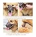 JeonbiuPet Adjustable Dog Muzzle Anti Bite Bark Allow Drink Soft Leather (M)