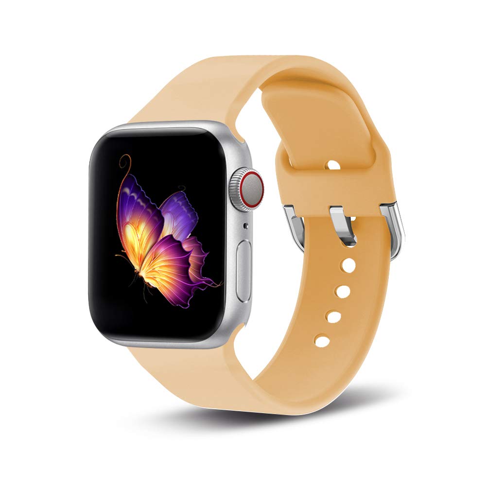 csl apple watch 4