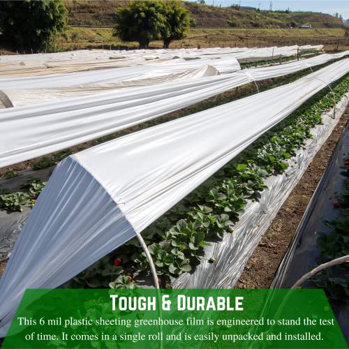 Farm Plastic Supply White Greenhouse Plastic Sheeting 6 mil (40