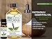 BioFinest Patchouli Oil - 100% Pure Patchouli Essential Oil - Premium Organic - Therapeutic Grade - Aromatherapy - Best for Depression - Promote Restful Sleep - FREE E-Book (10ml)