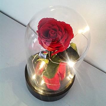 Rose Eternelle Sous Cloche En Verre