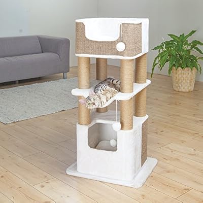 trixie lucano scratching post