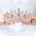 Tgirls Baroque Bridal Wedding Crowns and Tiaras Bride Princess Flower Rhinestone Headband Jewelry for Women and Girls (Rose Gold)