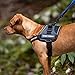 EzyDog Convert Dog Harness – Trail-Ready Rugged Harness for Walking, Hiking & Outdoors with Reflective Piping, Badge Attachment Points, Traffic handle, & Comfort Lining (Large, Charcoal)