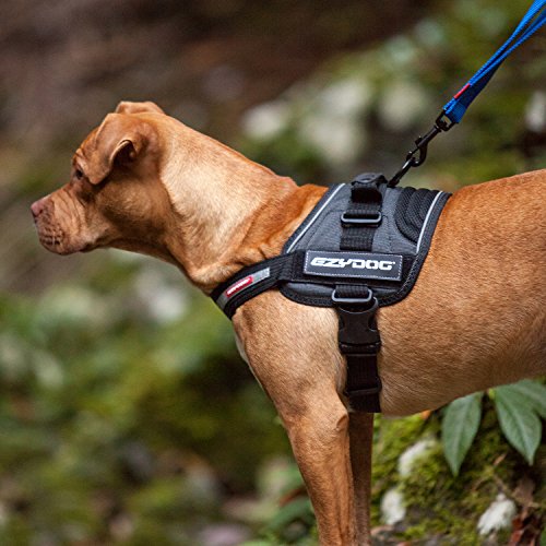 ezydog convert harness