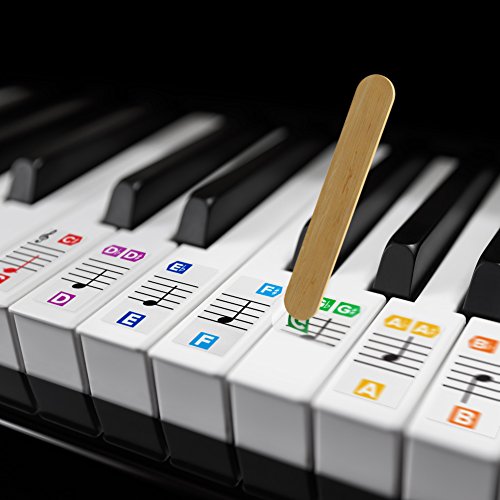 Color Piano Stickers for Keys - Removable w/Double Layer Coating for 49/61 / 76/88 Keyboards - Thumbnail 4