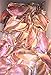 Pig Ears Natural Treats for Dogs -100 Pack - Bulk